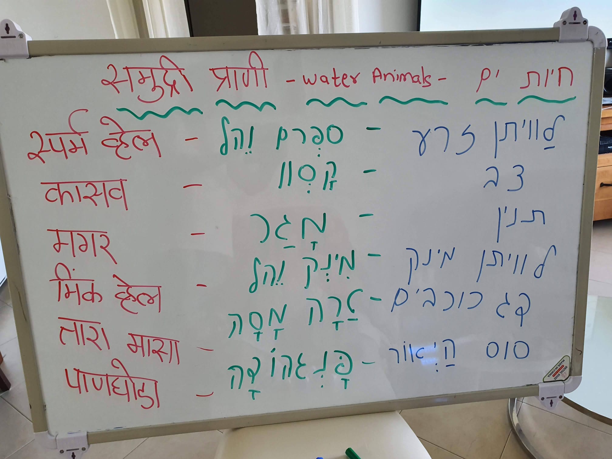 Names of water animals in Marathi and Hebrew - Learn Marathi With Kaushik